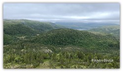 Fagerråheia