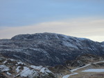 Nesheimsnipa