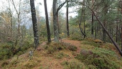 Vardehaugen