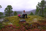 Skogøya
