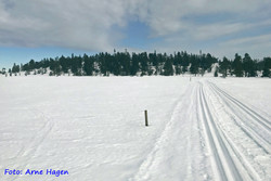 Gråberget øst