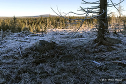 Bokåsen