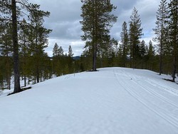 Sollihøgda Nord