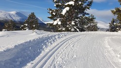 Nystuguberget