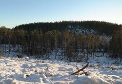 Storsæterhøgda