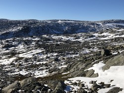 Nordnosi