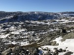 Nordnosi