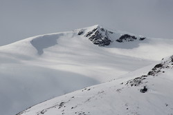 Kollen
