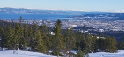 Litlgråkallen