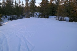 Hengedyhaugen
