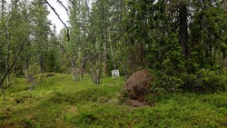 Gaukelie