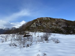 Eikarolheia