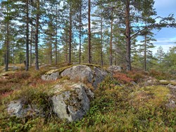 Hatteråsen