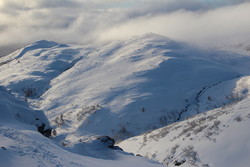 Tågheia