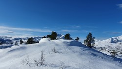 Langhaugsteinen