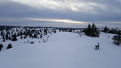 Sør for øvre Hesttjønnet