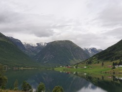 Oksli