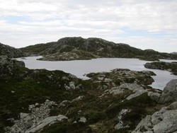 Aust for Naganibba