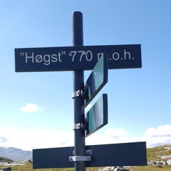 Høgst