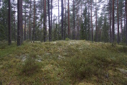 Rekselåsen