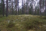 Rekselåsen