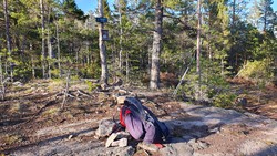 Harpås