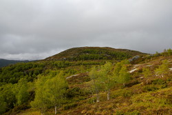 Solbakkeheia