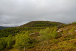 Solbakkeheia
