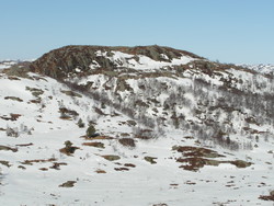 Kjedleknuten