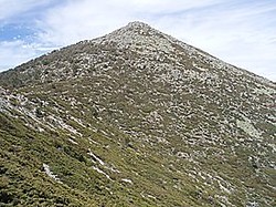 Montón de Trigo