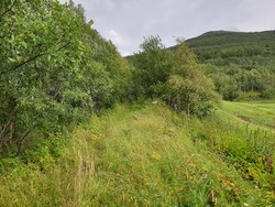 Gisingran parkering