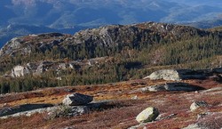 Dobbeltnatten