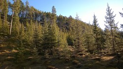 Skåleberget