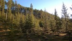 Skåleberget