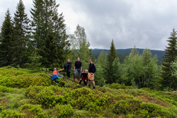 Haukåsen