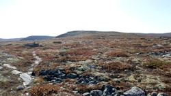 Vangfjellet