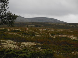 Stulshøgdin