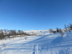 Slettvolla nord