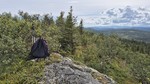 Adamshøgda