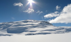 Gluggvardnuten