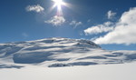 Gluggvardnuten