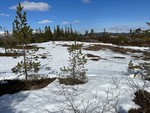 Støvrakjølen