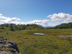 Utslepparknappen