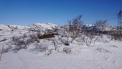 Styttelihotten