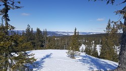 Rindåsen trigpunkt
