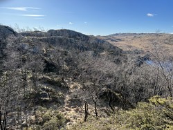 Aust for Øydestjørna