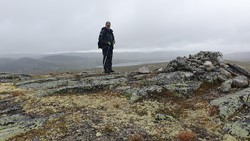 Skjerhølnuten