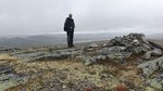 Skjerhølnuten