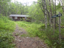 Storjordfjellkoia