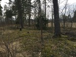 Nord for Haver